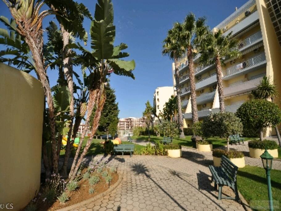 Jardim comum