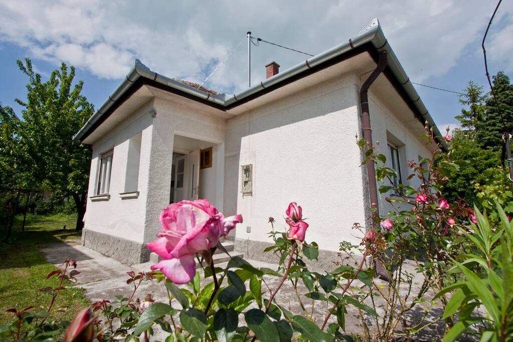 Front of the house