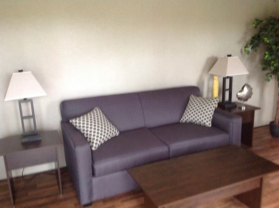 spacious living/dining