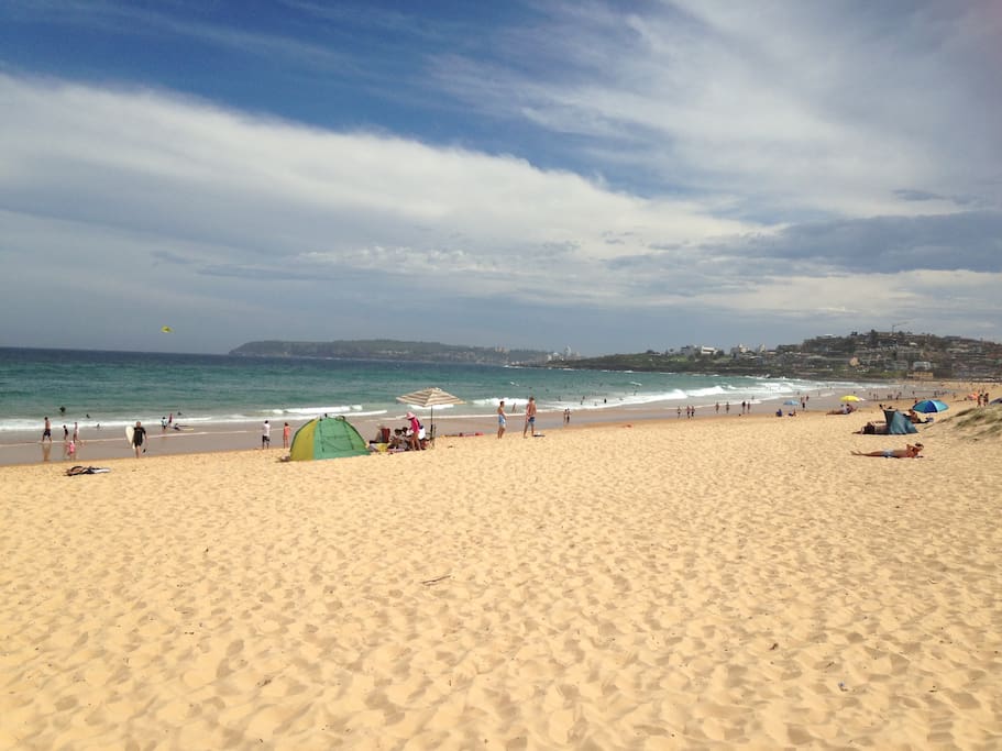 North Curl Curl Beach - Location Shot