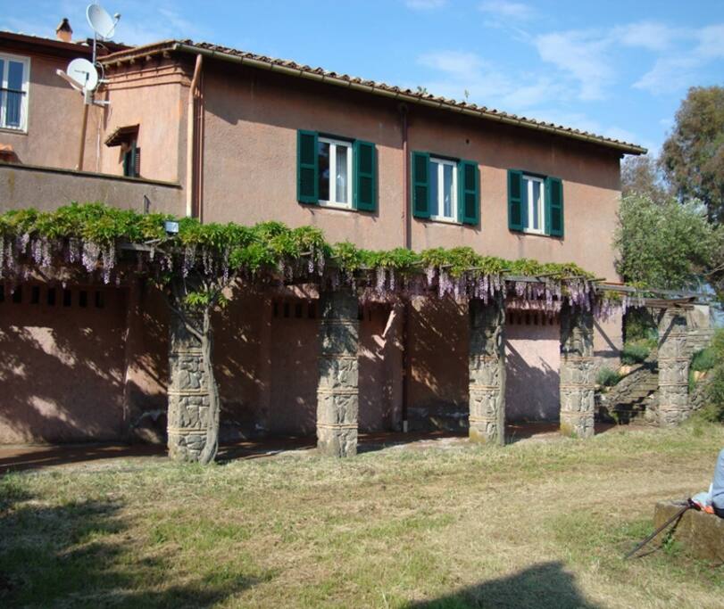 fioritura primavera