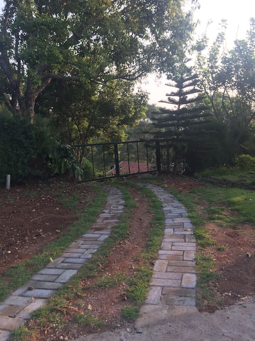Drive way