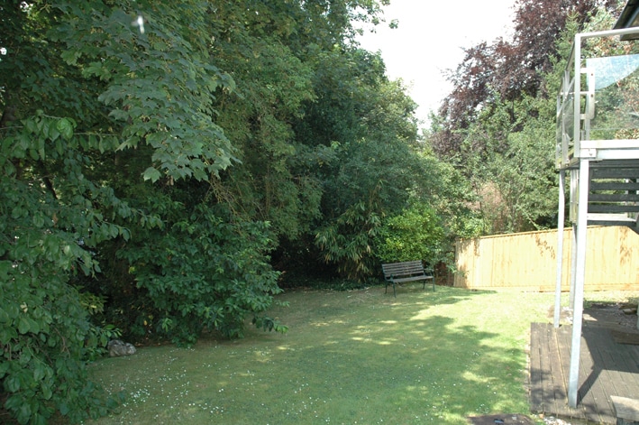 A green lawn is surrounded by mature trees, creating a serene and natural setting. A bench is positioned on the grass, providing a quiet spot for relaxation. The area is brightened by natural light, with a wooden fence bordering the property.