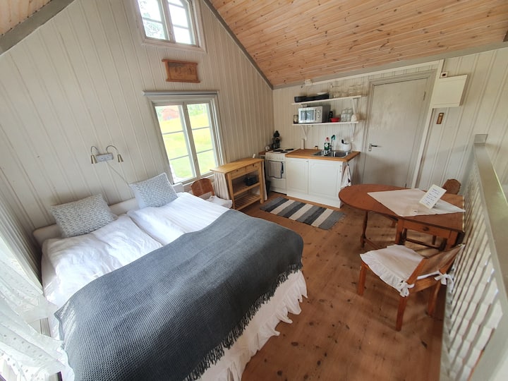 Double bed 160 cm,kitchen area with stove, fridge etc.