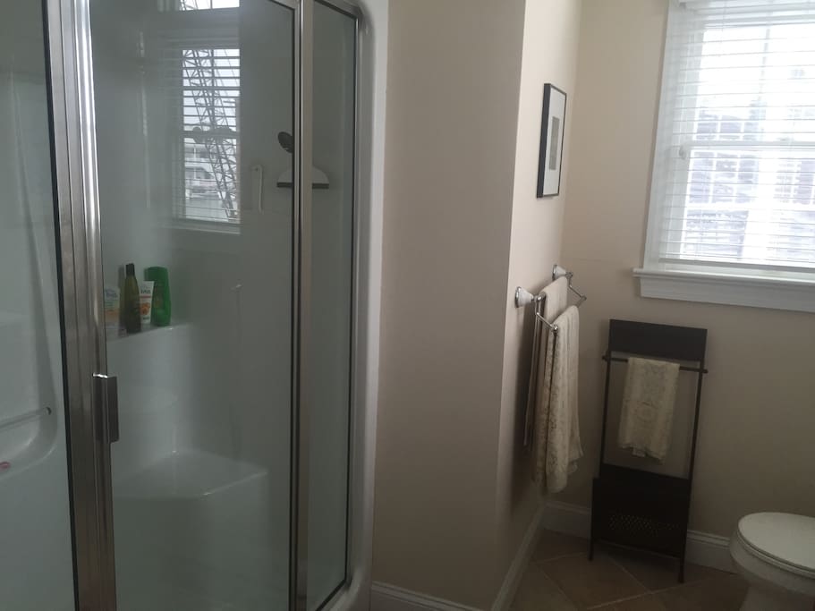 Steam shower attached to jr suite