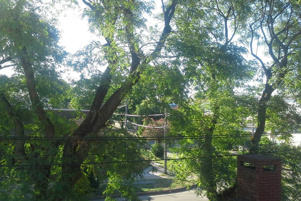 vista desde la habitación