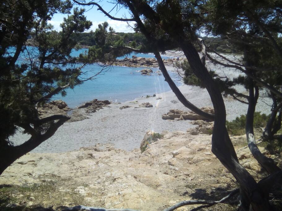 Spiaggia