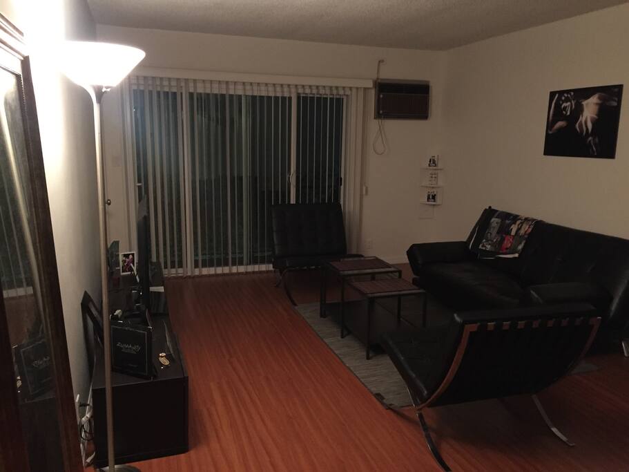 Living room with a balcony. Sofa turns into bed. I also have a queen air mattress
