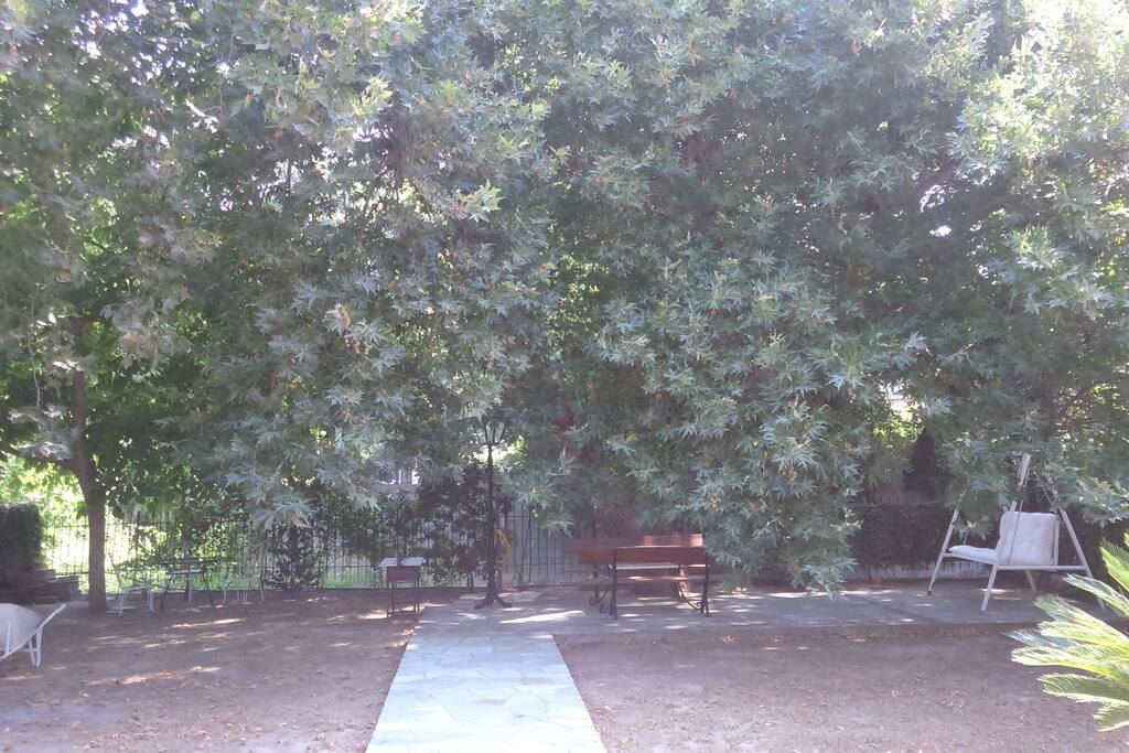 Αυλή προς τα πλατάνια