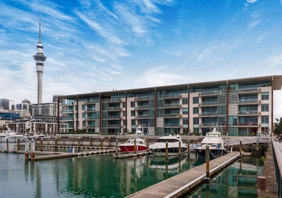 Auckland Waterfront Apartments For Rent Auckland Waterfront Apartments For Rent