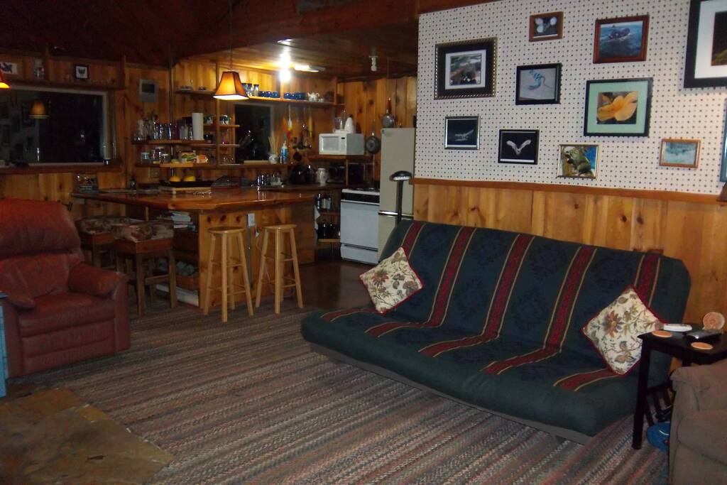 living room and kitchen