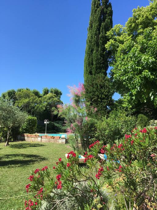 Vue sur la piscine depuis le jardin
