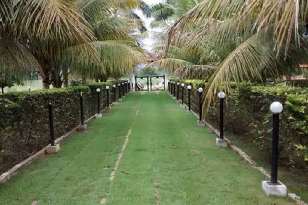 Entrada principal