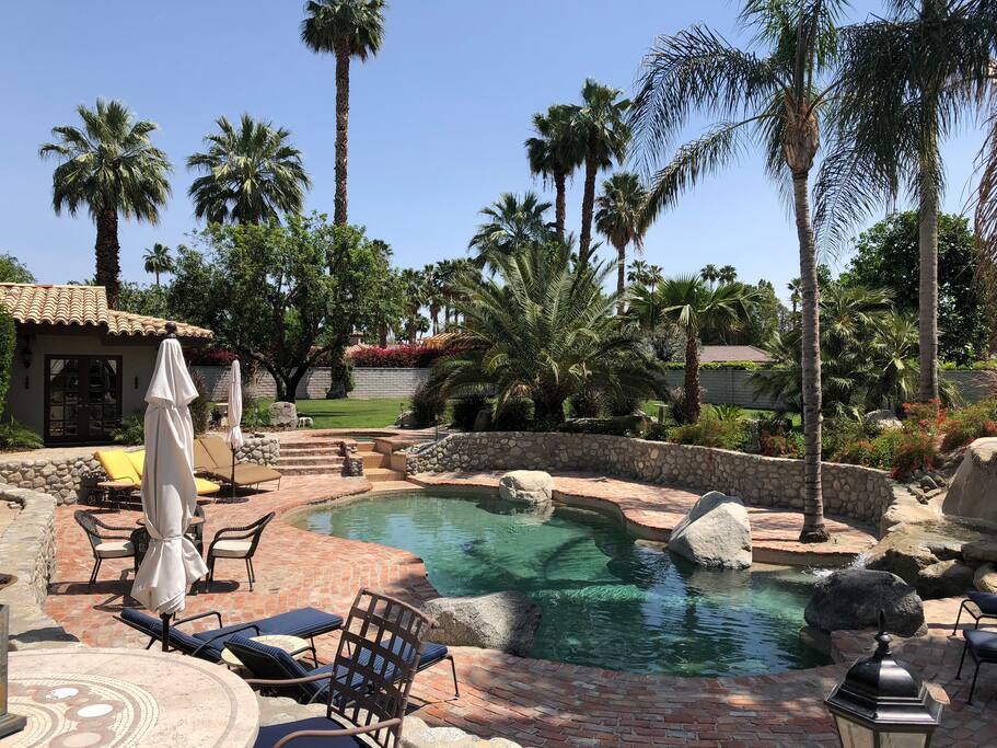 Pool and Jacuzzi area