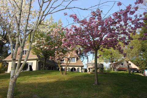 studio de caractère