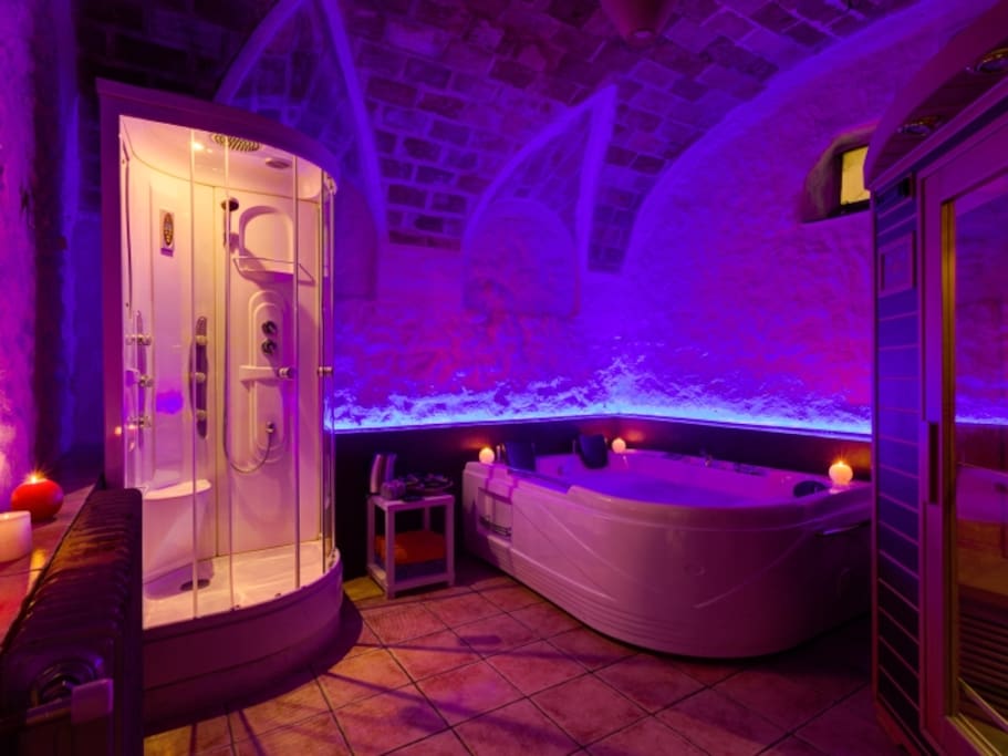 Spa con jacuzzi, sauna y ducha de hidromasaje