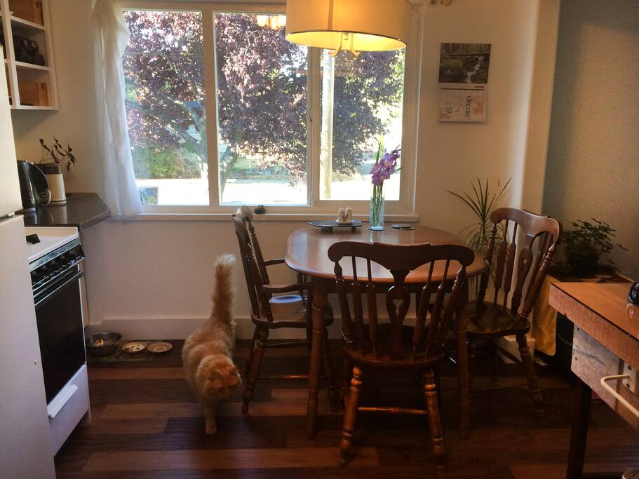 Kitchen/dining