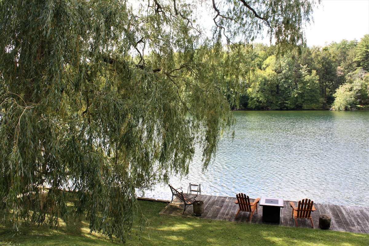 The serene lakeside views feature a wooden dock surrounded by lush greenery. Two Adirondack chairs and a small table are positioned near the water's edge, inviting relaxation. Gentle sunlight reflects off the calm water, framed by the branches of a large tree.