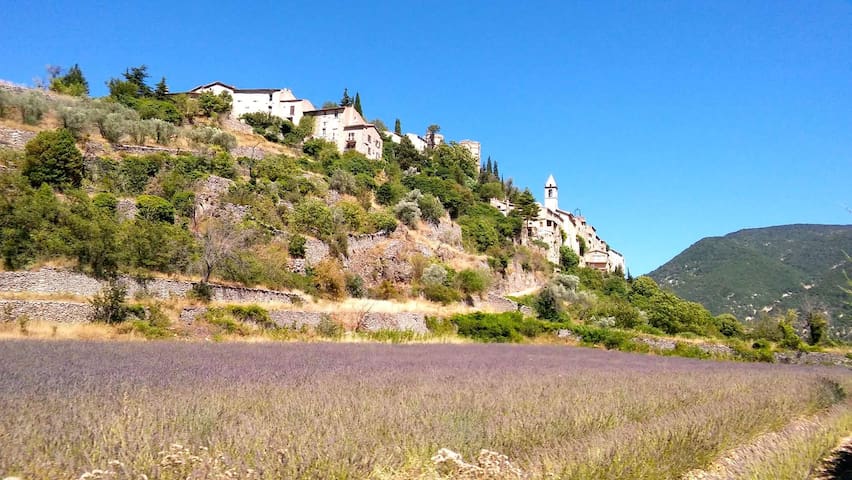 Holiday rental provence ventoux sault