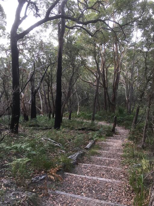 Trail to Greenfields beach