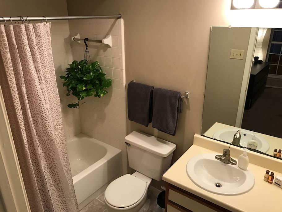 Walk-in bathroom
