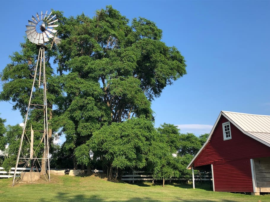 Original Windmill and Granary