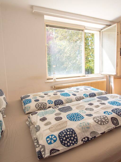 Blick vom Bett aus ins Grüne