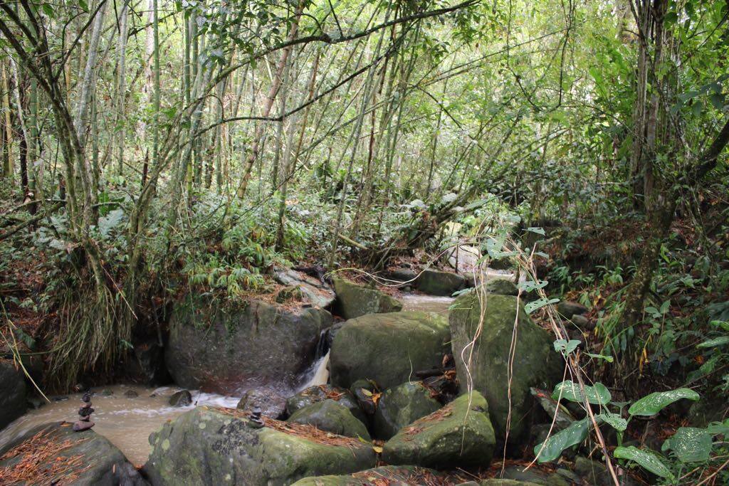 Linda quebrada especial para meditacion y contacto con la naturaleza