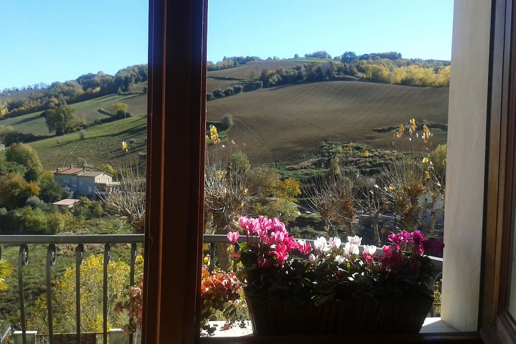 vista da camera