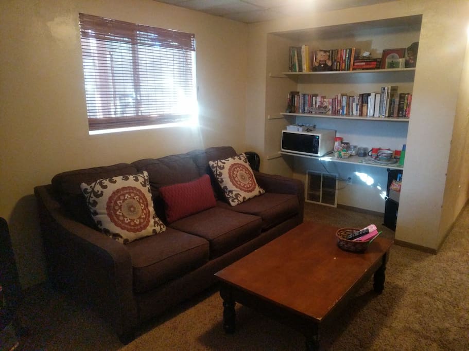 a lovely couch aside a well stock d bookshelf. lots of fun booked to read if you would desire.