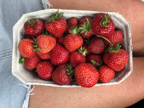 Romantic summerhouse