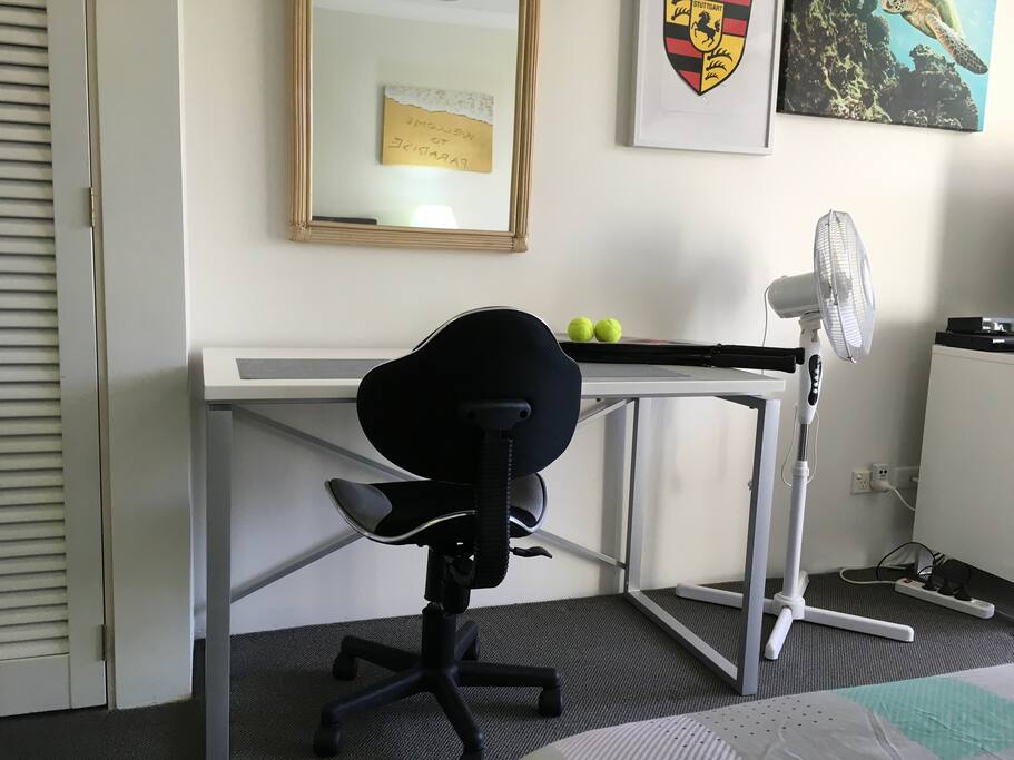 Computer/Work Desk