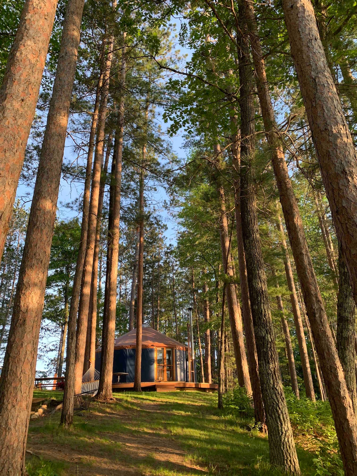 A yurt is nestled among tall pine trees, surrounded by lush greenery. Sunlight filters through the branches, casting dappled shadows on the path leading to the entrance. The yurt features large windows that reflect the natural surroundings, offering a serene outdoor experience.