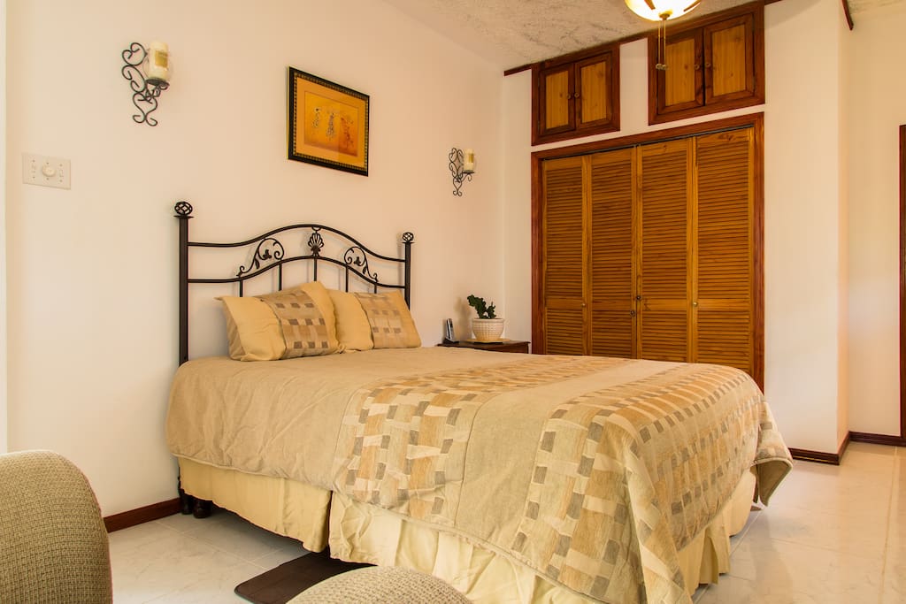 View of bed and closet