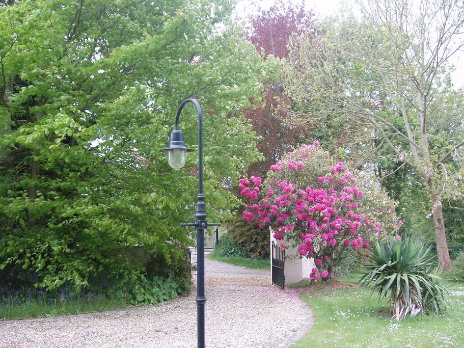 Driveway to garden at front of house