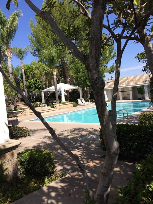 Pool, jacuzzi and barbecue area! Nice and quiet