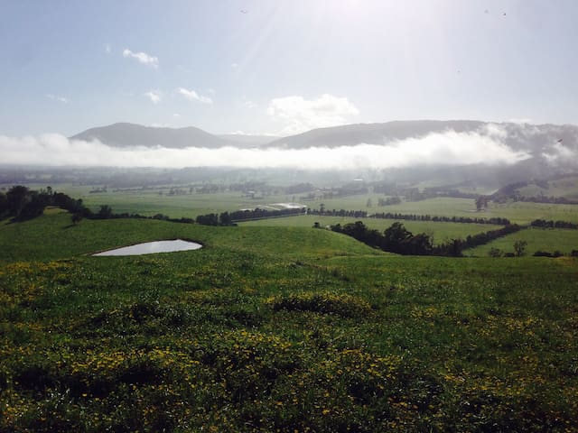 Yarra Park in the Yarra Valley