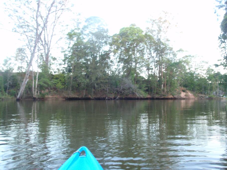 Kayaking on the Maroochy river