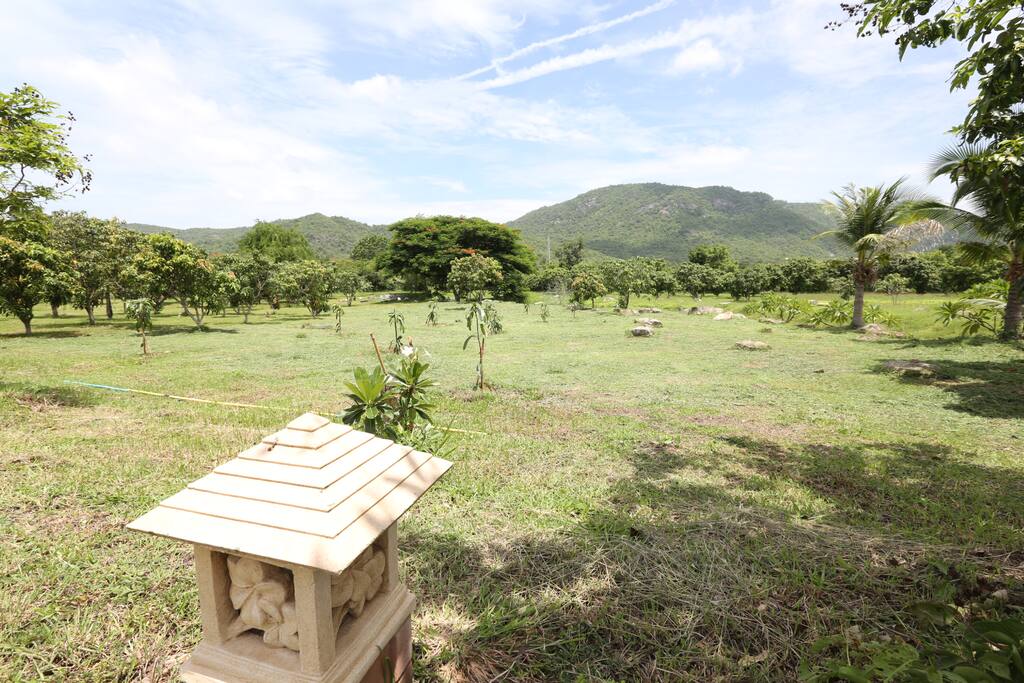 The farm has new and old trees. Some were lost to drought several years ago.