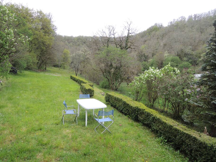 jardin à l'arrière de la maison