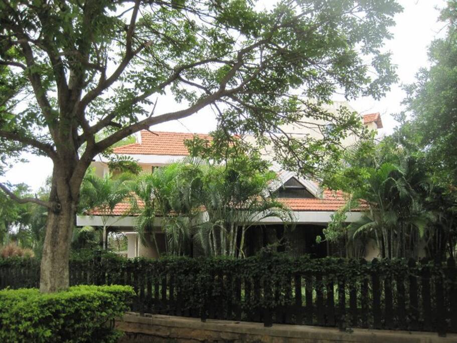 Exterior view