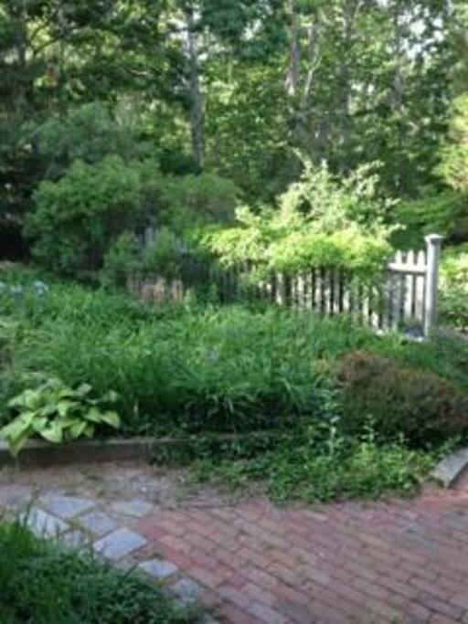 side patio