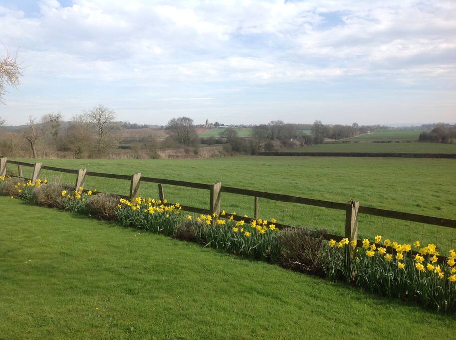 View from breakfast room