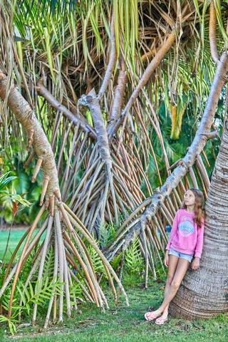 Hauula Ohana House – Paradise on a one acre estate gallery image 4