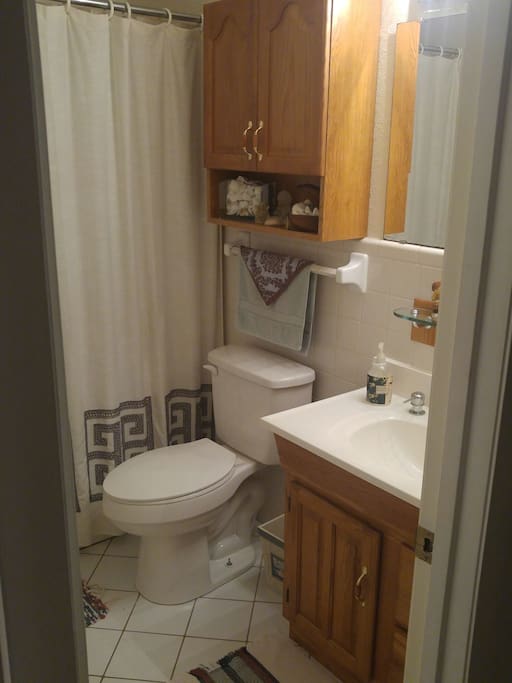 Comfortable bathroom