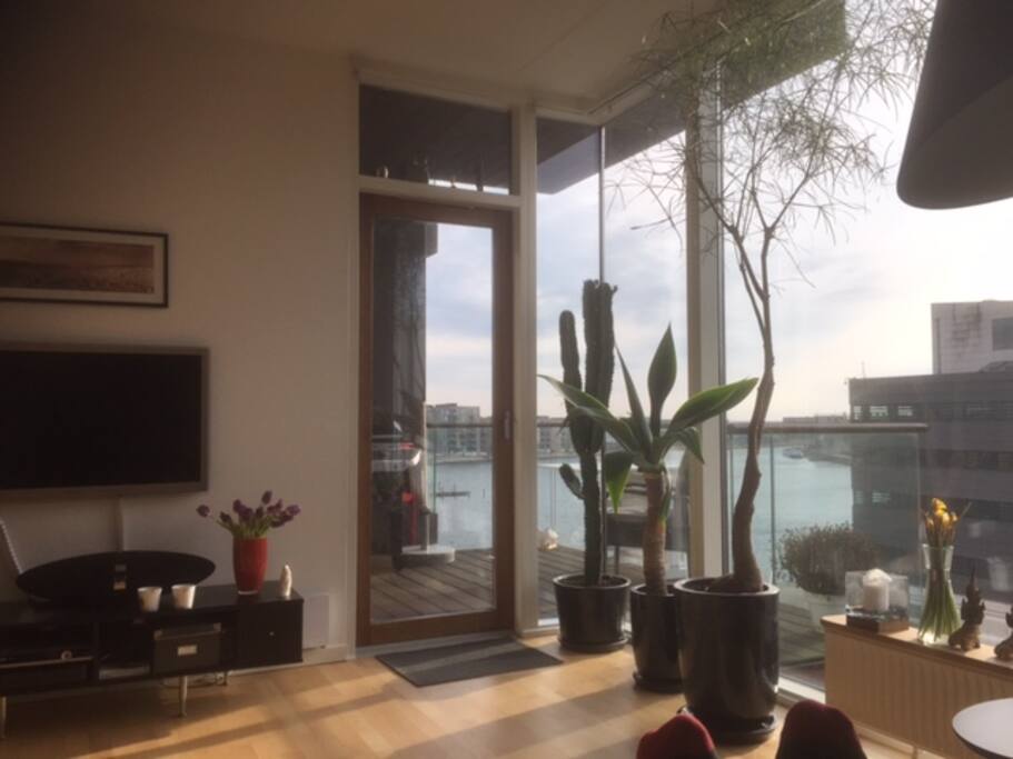 View from the armchairs