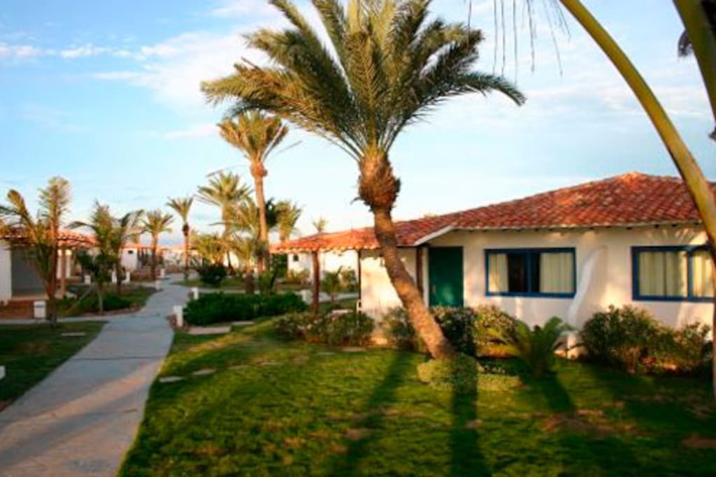 Private houses