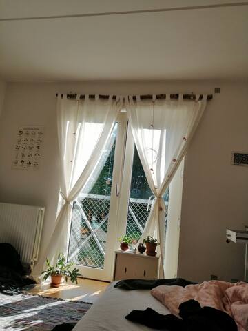 My cute little cloud