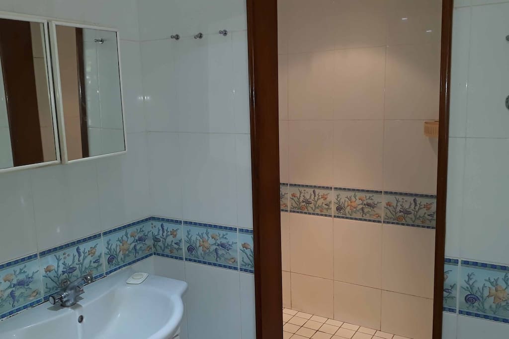 ENSUITE BATHROOM / Salle de Bains