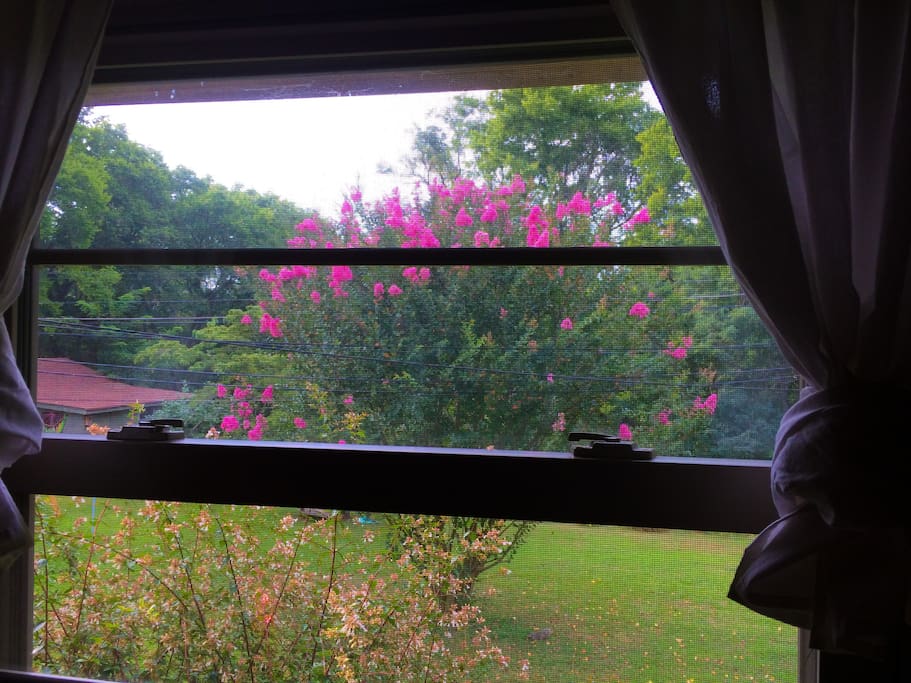 View from one of the windows